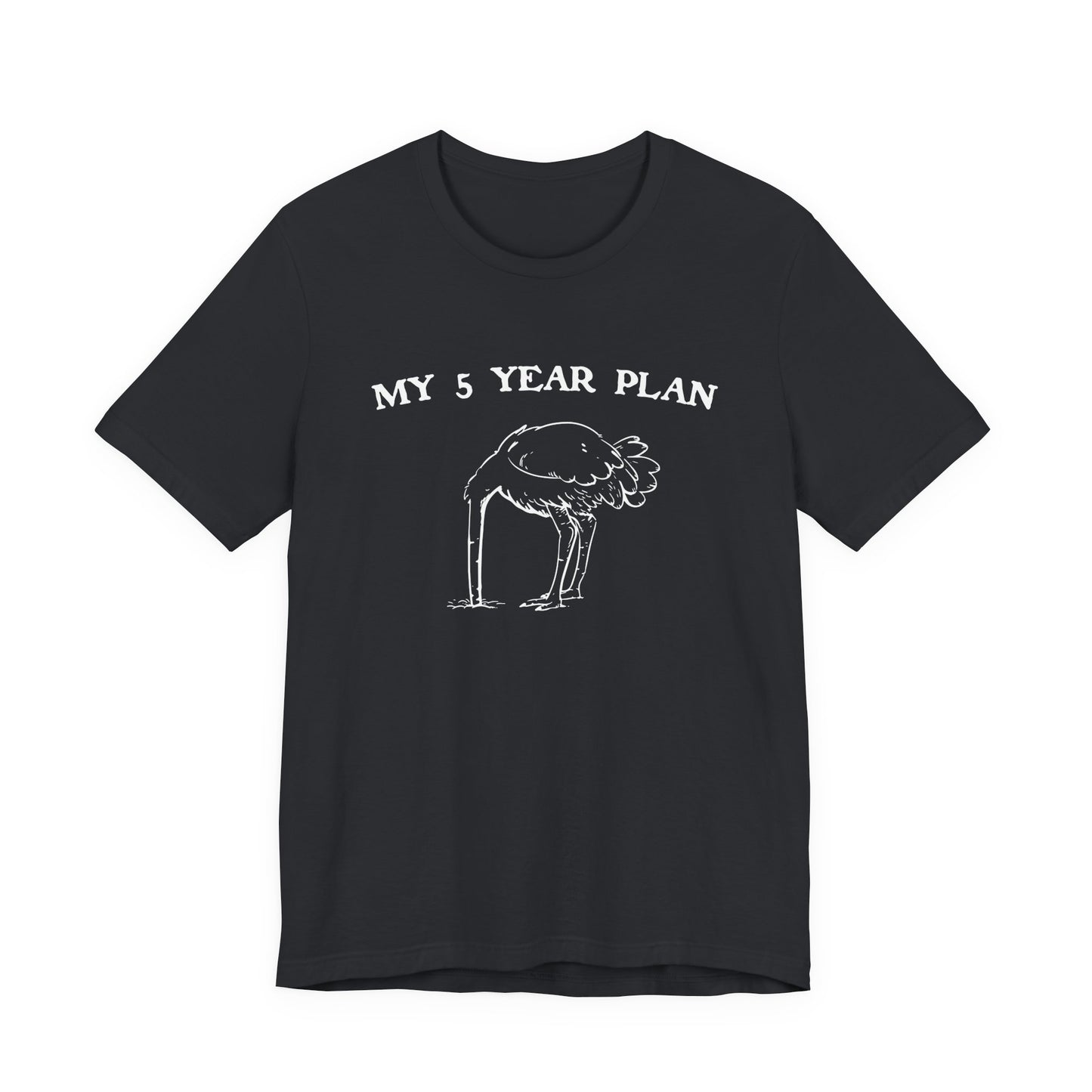 Vintage 90's Style Funny Ostrich 'My 5 Year Plan' Meme T-Shirt - Bella Canvas 3001 Collection"