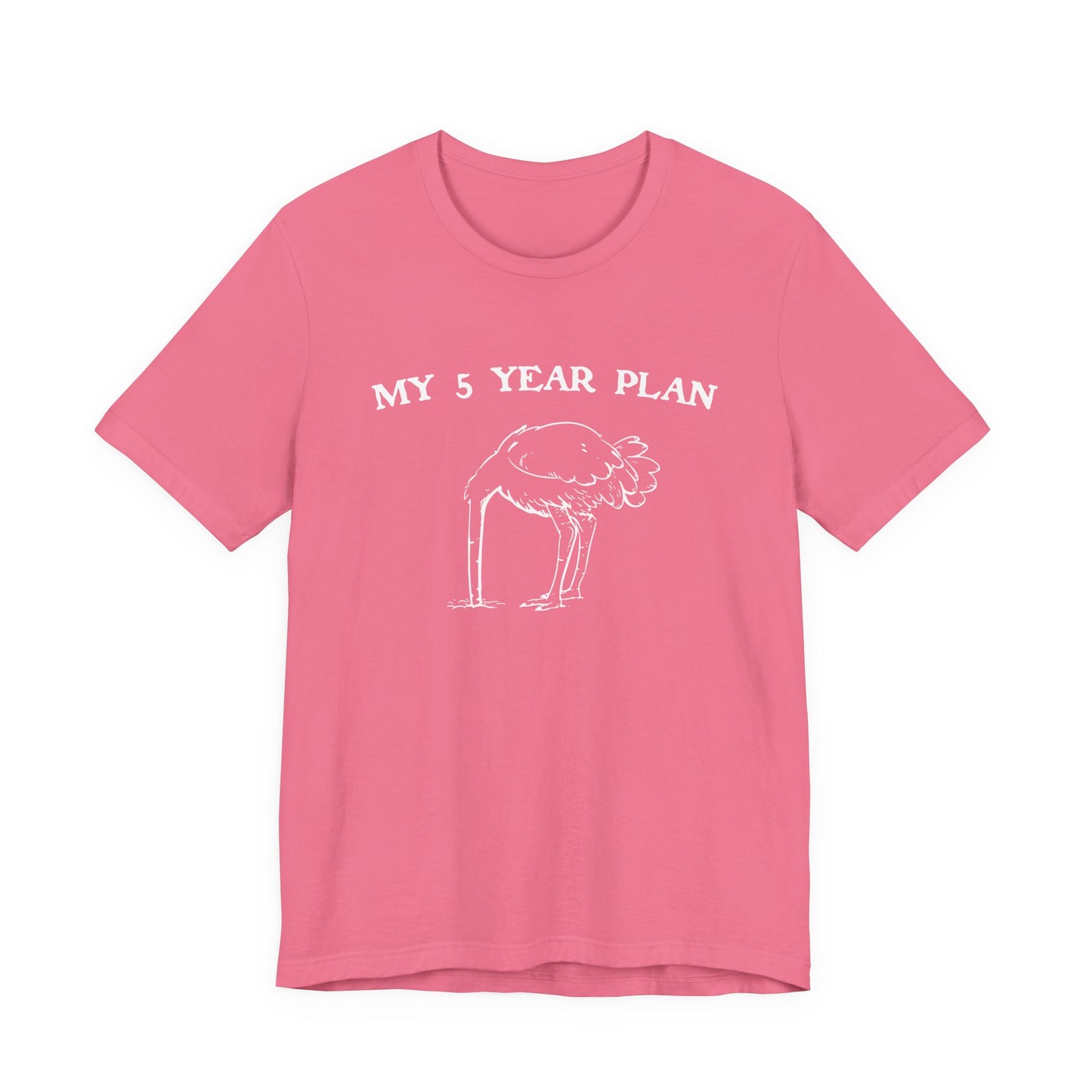 Vintage 90's Style Funny Ostrich 'My 5 Year Plan' Meme T-Shirt - Bella Canvas 3001 Collection"