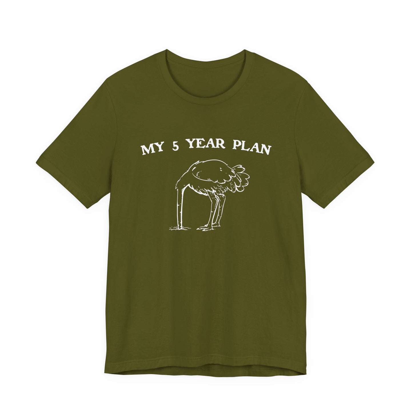 Vintage 90's Style Funny Ostrich 'My 5 Year Plan' Meme T-Shirt - Bella Canvas 3001 Collection"
