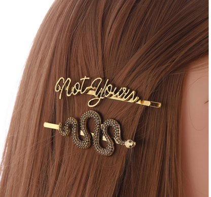 Not Yours Snake Hair Clip Set