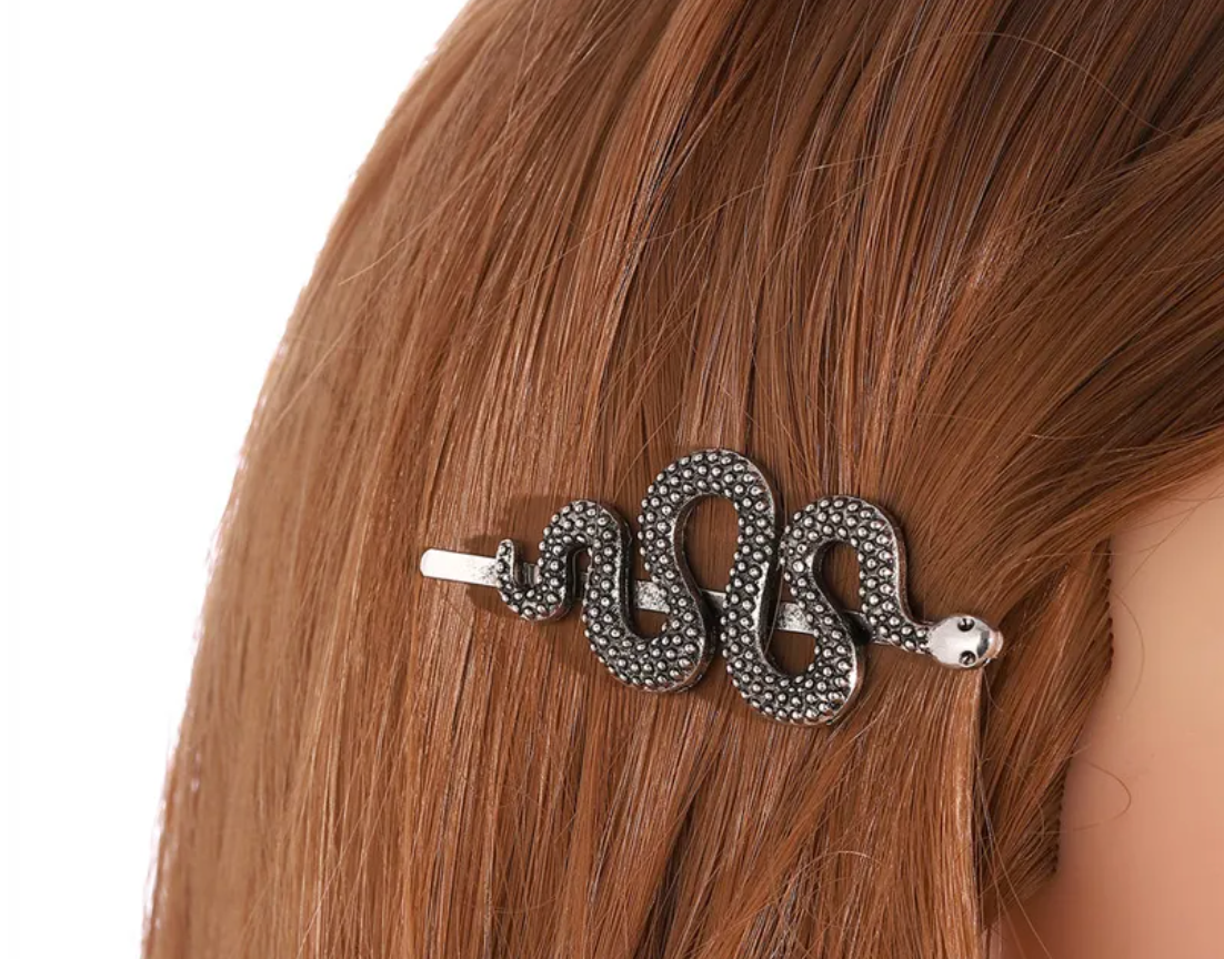 Not Yours Snake Hair Clip Set