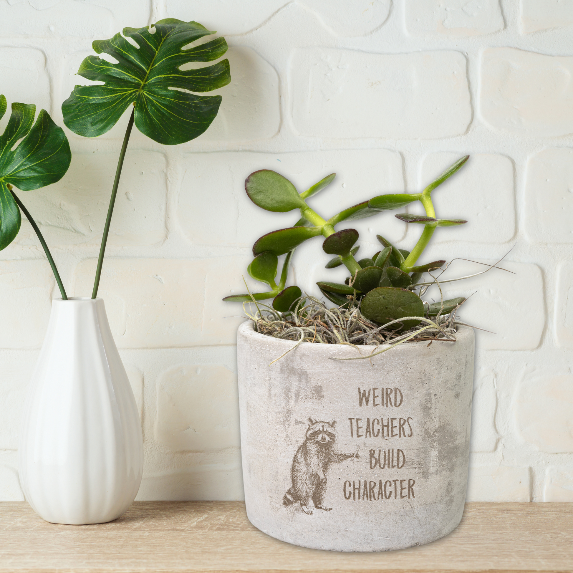 weird pots for plants Quirky Teacher Desk Plants | Custom Laser Etched Pots